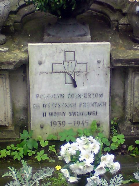 zapomniana-kwatera-zonierzy-nieznanych-29181
