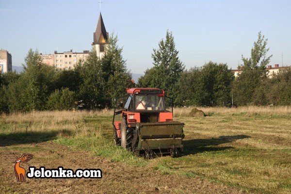 zabobrze-bez-chaszczy-29280