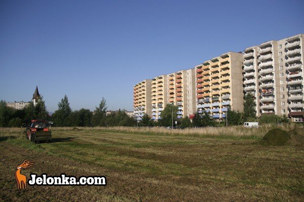 zabobrze-bez-chaszczy-29280