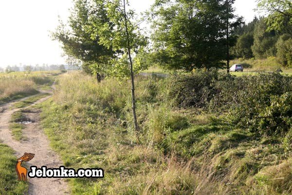 rusza-budowa-drogi-rowerowej-na-zabobrzu-29288