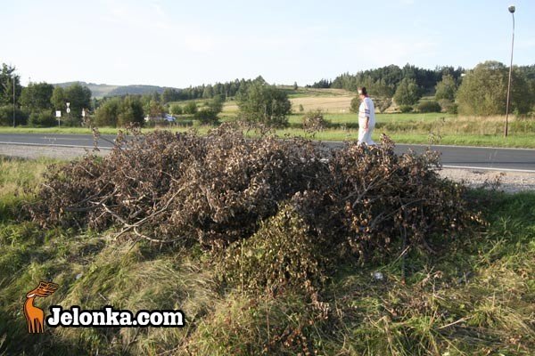 rusza-budowa-drogi-rowerowej-na-zabobrzu-29288