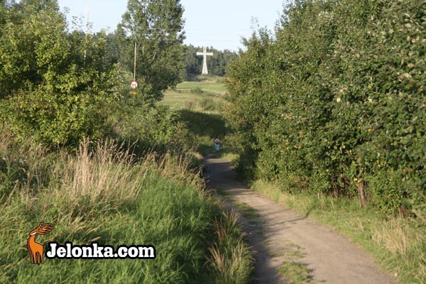 rusza-budowa-drogi-rowerowej-na-zabobrzu-29288