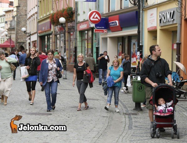 zobki-potrzebne-od-zaraz-29357
