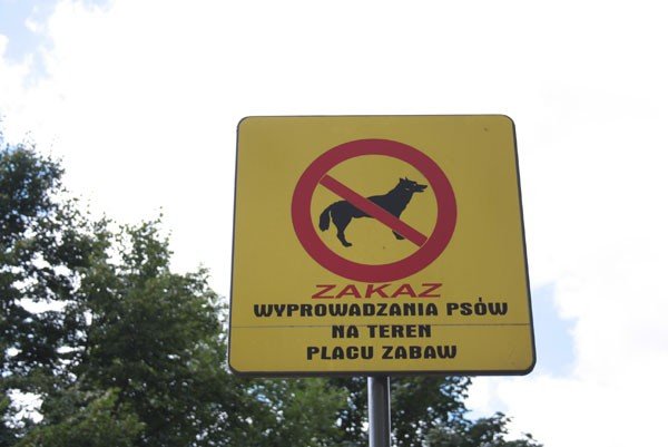 zabobrzanska-posucha-na-place-zabaw-29468