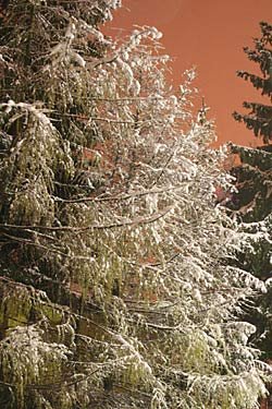 sniezyo-nad-jelenia-gora-295