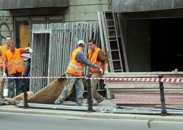 rozpocza-sie-remont-elewacji-jck-29610