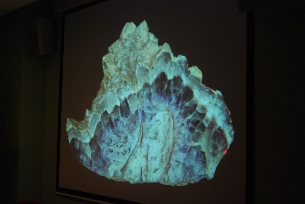 krajowy-geopark-w-kpn-29623
