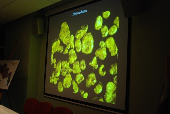 krajowy-geopark-w-kpn-29623
