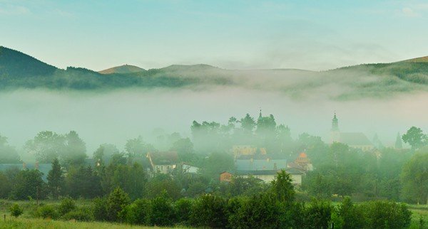 sosnowka-wsrod-mgie-promocyjnym-zdjeciem-29636