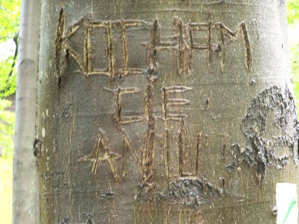 niszczycielska-miosc-29650