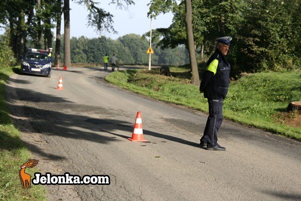 wypadek-we-mgle-w-janowicach-29667