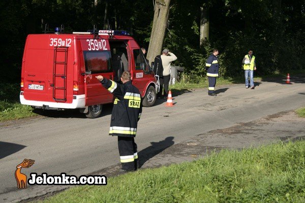 wypadek-we-mgle-w-janowicach-29667