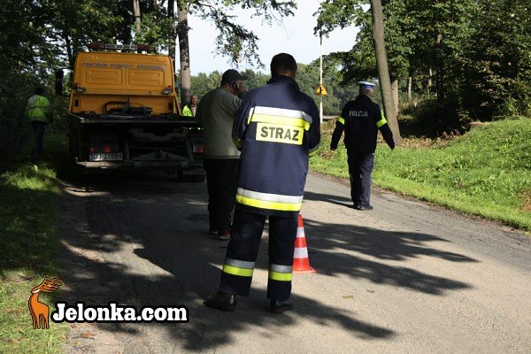wypadek-we-mgle-w-janowicach-29667