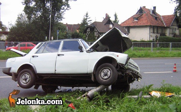 wygania-pszczoe-i-wjecha-w-latarnie-29742