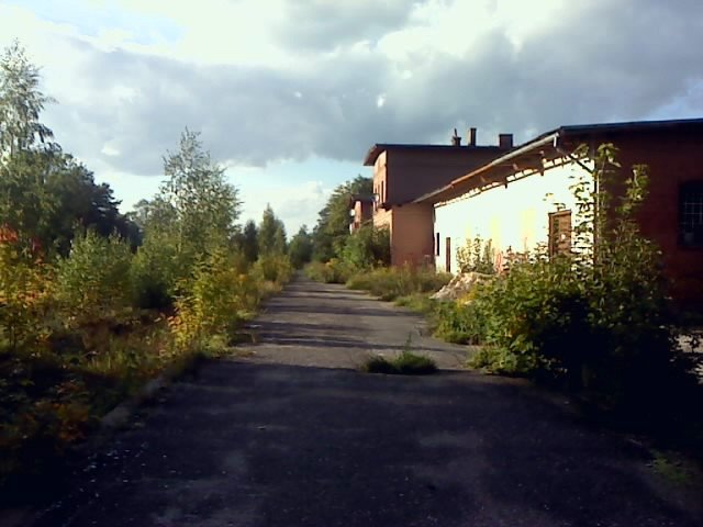 reaktywacja-kolei-do-kowar-strza-w-dziesiatke-29790