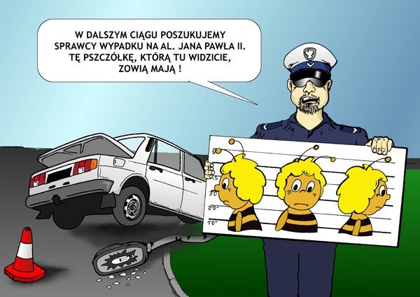 pszczoka-maja-poszukiwana-29800