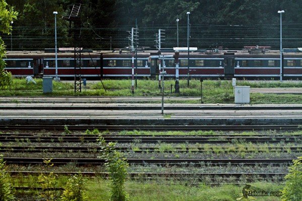 nowy-rozkad-jazdy-pociagow-na-razie-projekt-29825