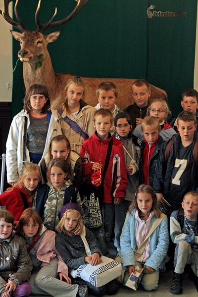 jelen-zszed-z-herbu-na-pietro-ratusza-29852