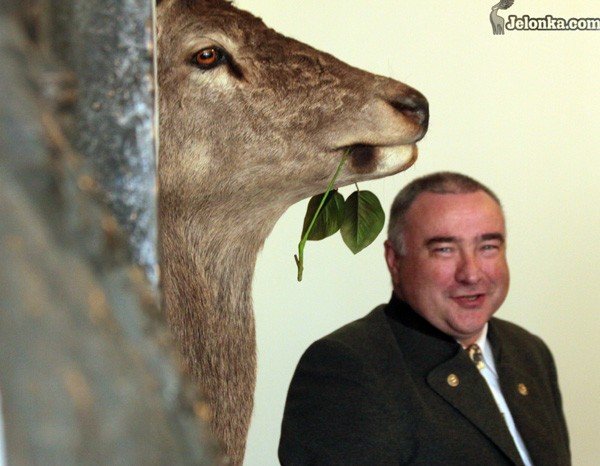 jelen-zszed-z-herbu-na-pietro-ratusza-29852
