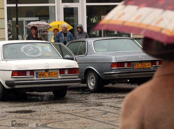 elegancja-na-czterech-kokach-i-w-deszczu-29903