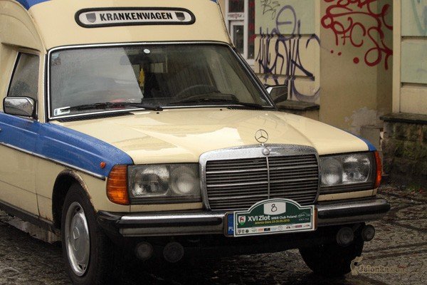 elegancja-na-czterech-kokach-i-w-deszczu-29903