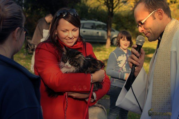 wszystkie-stworzenia-duze-i-mae-u-swietego-franciszka-30082