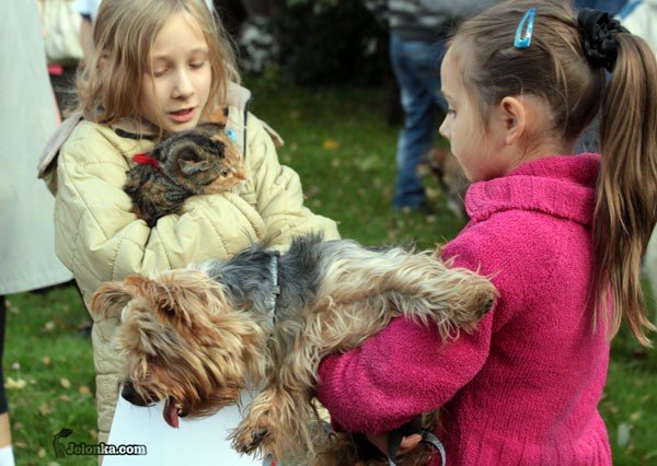 wszystkie-stworzenia-duze-i-mae-u-swietego-franciszka-30082