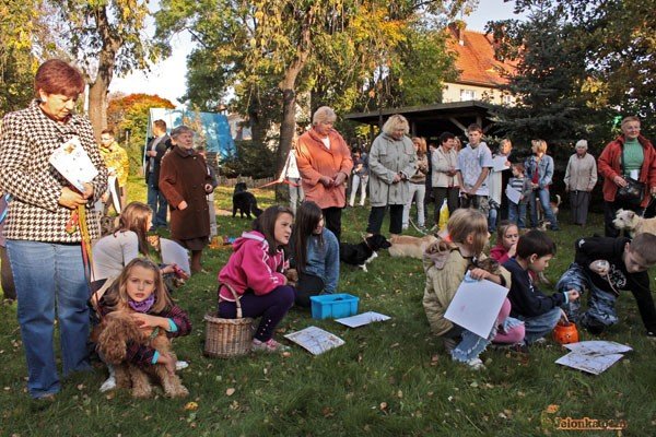 wszystkie-stworzenia-duze-i-mae-u-swietego-franciszka-30082