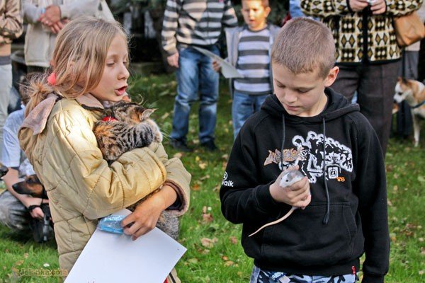 wszystkie-stworzenia-duze-i-mae-u-swietego-franciszka-30082