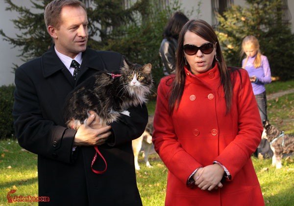 wszystkie-stworzenia-duze-i-mae-u-swietego-franciszka-30082