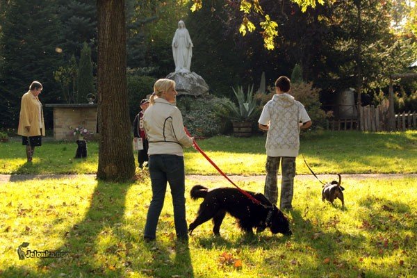 wszystkie-stworzenia-duze-i-mae-u-swietego-franciszka-30082
