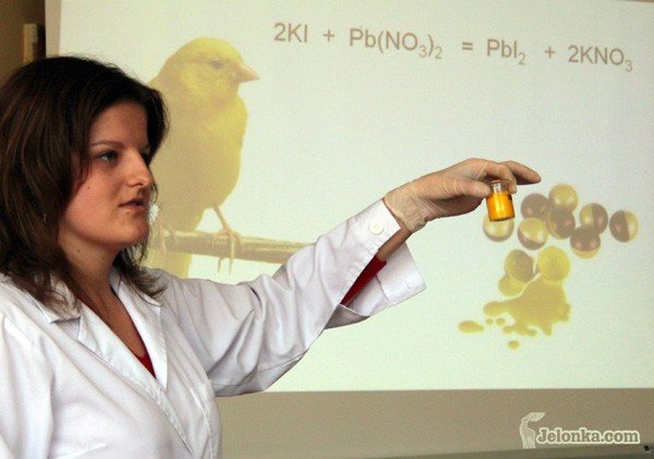 chemiczne-fajerwerki-na-dolnoslaskim-festiwalu-nauki-30132