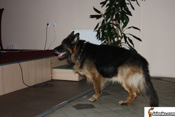 najwazniejsze-jest-niewidoczne-dla-oczu-30271
