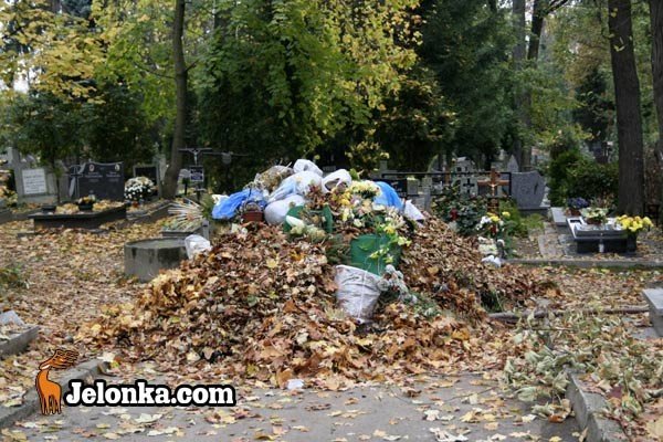 zblizaja-sie-zaduszki-sprzatamy-bo-pamietamy-30330