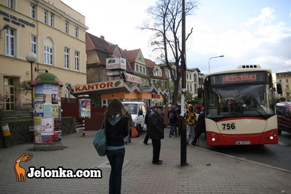 ochronia-pasazerow-przed-deszczem-i-sniegiem-30460