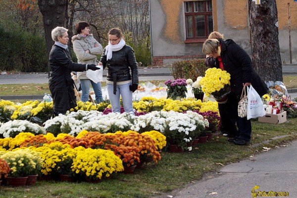 pogoda-sprzyja-odwiedzinom-nekropolii-30537