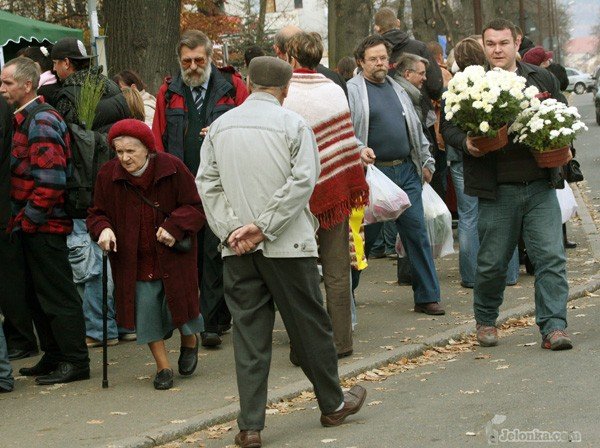 zaduma-i-radosc-we-wszystkich-swietych-30545