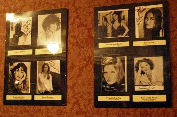 gwiazdy-owcy-autografow-30634