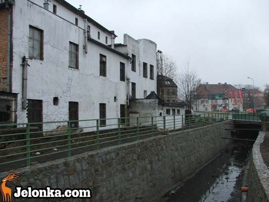 razem-na-wycieczke-z-kandydatem-30814