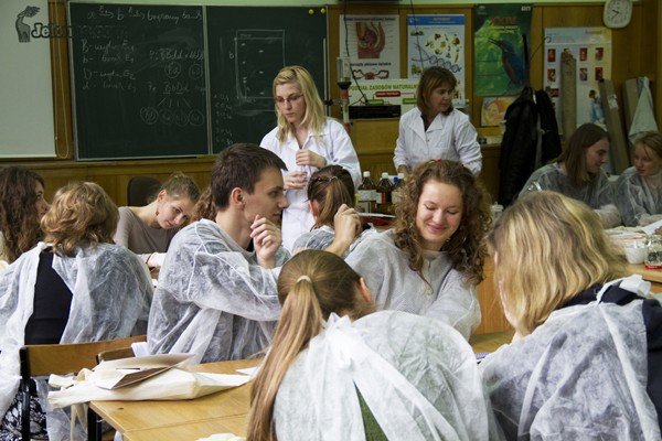 w-zeromie-bakterie-pod-mikroskopem-30822
