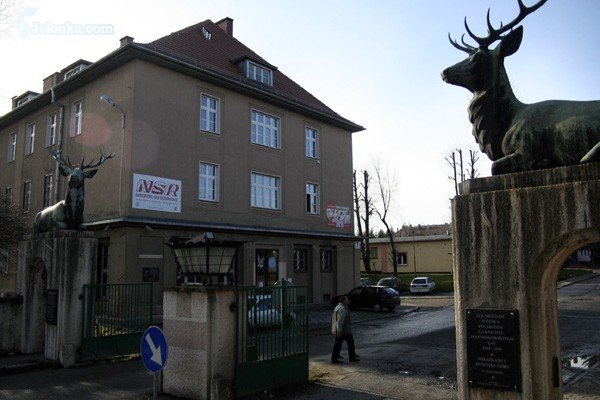 pod-jeleniami-z-dziurami-i-w-ciemnosciach-30956