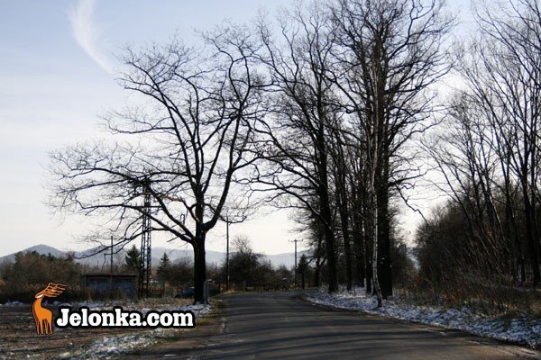 kiedy-beda-pieniadze-na-remont-omnickiej-30998