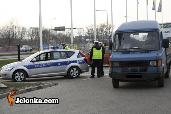 z-parkingu-castoramy-po-potraceniu-trafi-do-szpitala-31006