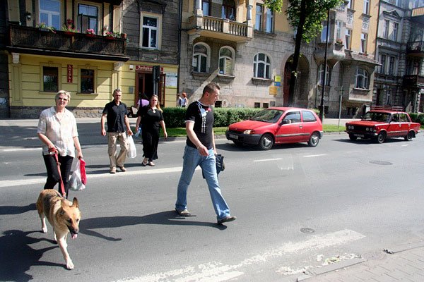 Chwila ulgi: uprzejmi kierowcy przepuszczają pieszych. Nie jest to częste zjawisko przy ulicy Wojska Polskiego.