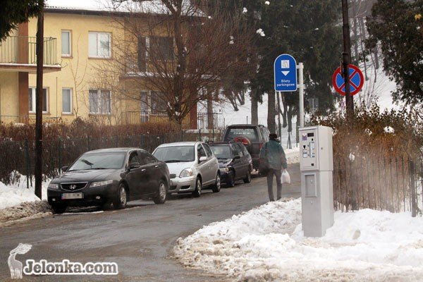 kopoty-z-parkometrowym-kwitkiem-31226