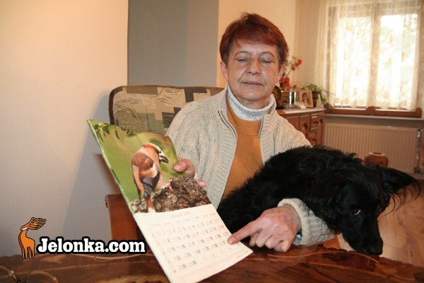lokatorzy-zdani-sami-na-siebie-zgl-nie-pomog-31229