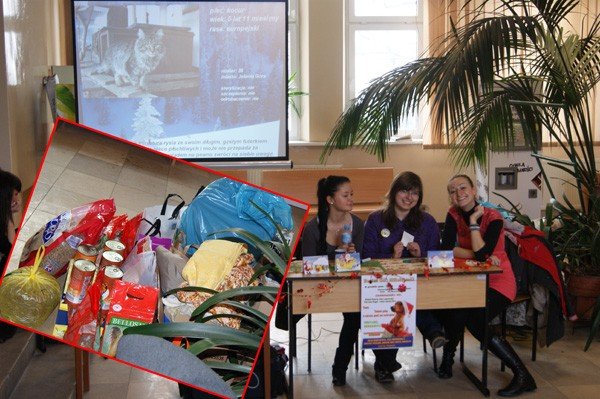 studencki-swiety-mikoaj-nie-zapomnia-o-zwierzetach-31257
