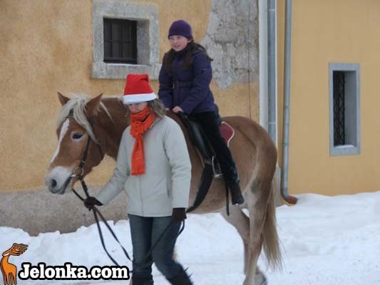 kiermasz-swiateczny-w-paacu-druga-odsona-31262