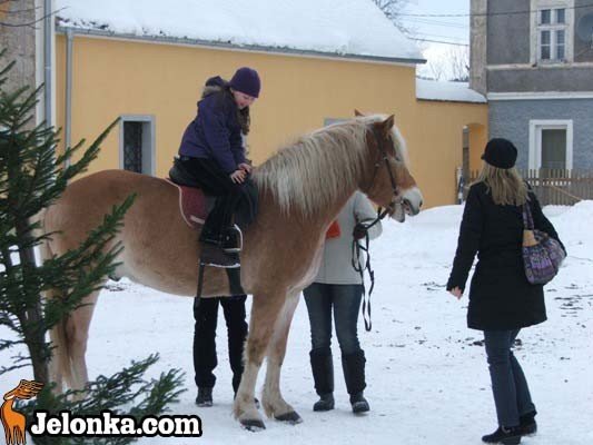 kiermasz-swiateczny-w-paacu-druga-odsona-31262