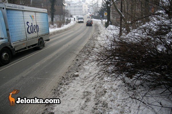 piesi-na-spodzielczej-ryzykuja-zyciem-31446